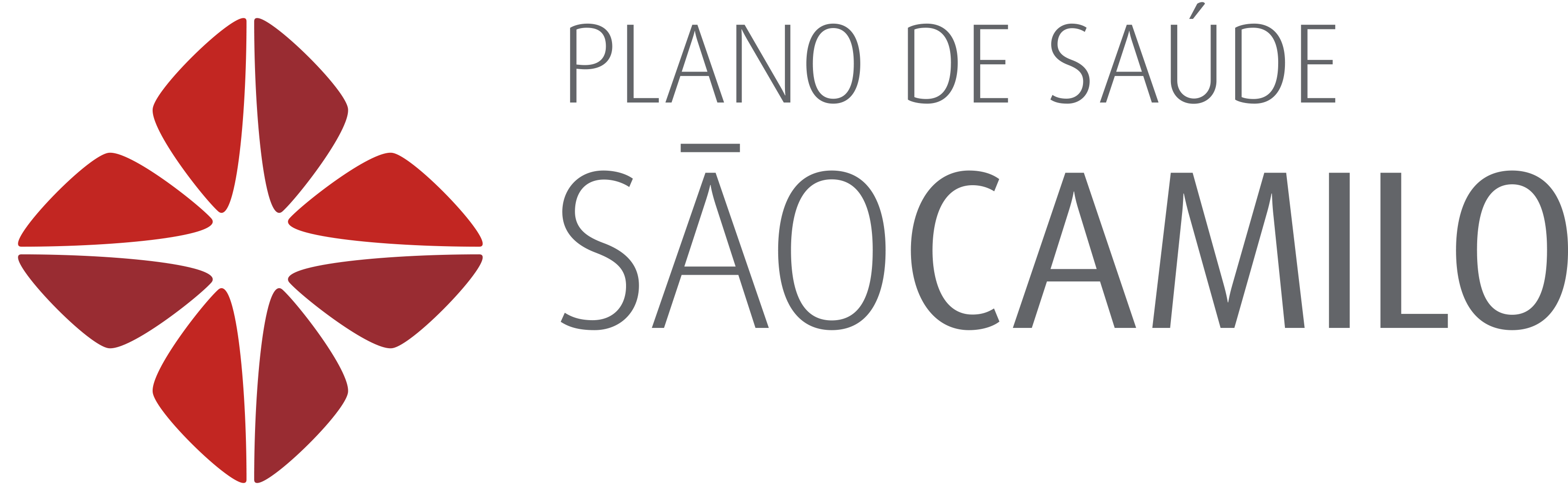 São Camilo